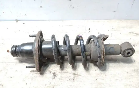 Honda CR-V Rear shock absorber with coil spring 11019320