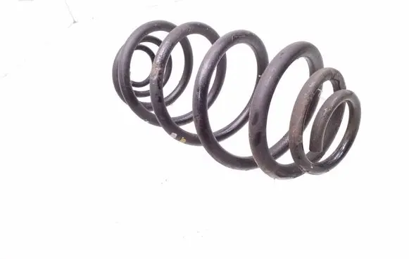 Rear coil spring
