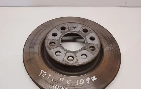Skoda Yeti (5L) Rear brake disc