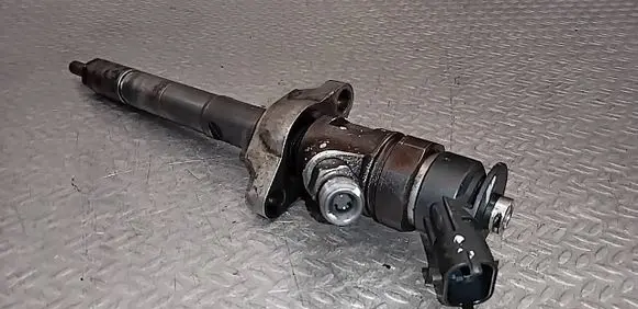 Citroen C3 Picasso Fuel injector 0445110297