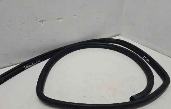 Toyota Verso-S Rear door rubber seal (on body) 