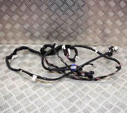 Rear door wiring loom