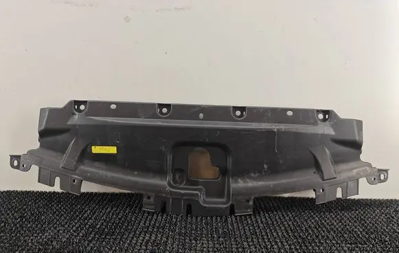 Infiniti G37 Radiator trim F82000A74000