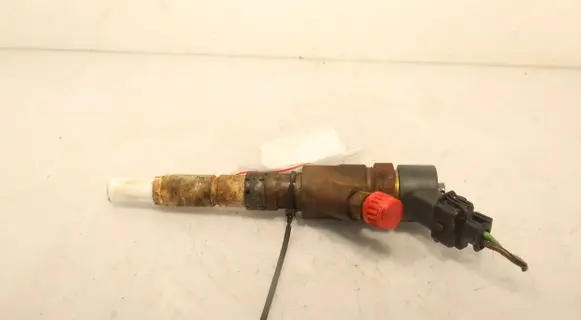 Fiat Ducato Fuel injector 0445110076