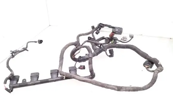 Volkswagen PASSAT B6 Engine installation wiring loom 06F971824C