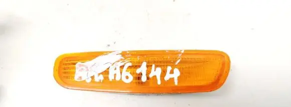 Front fender indicator light