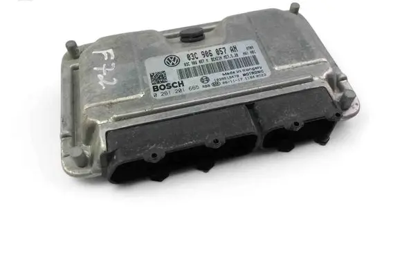 Engine control unit/module ECU