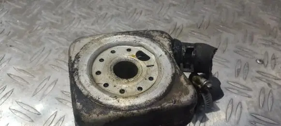 Volkswagen PASSAT B5 Engine oil radiator 