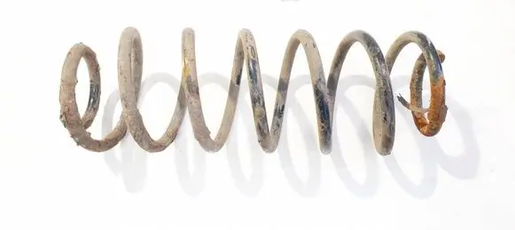 Rear coil spring