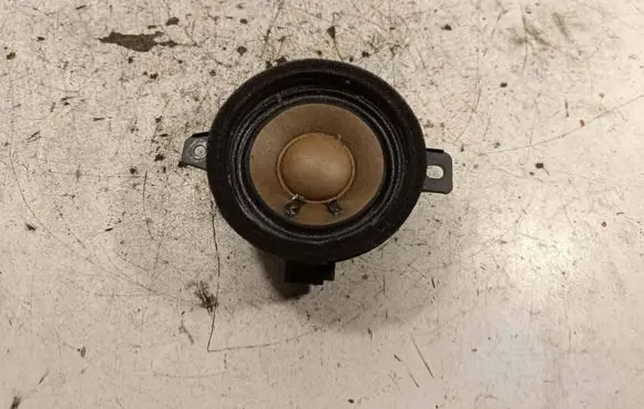 Opel Insignia B Panel speaker 13240967 654558089