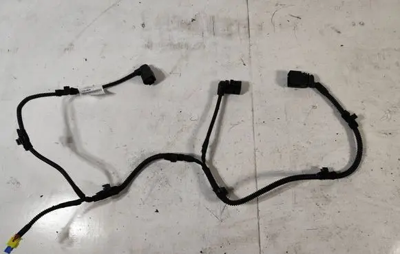 Other wiring loom