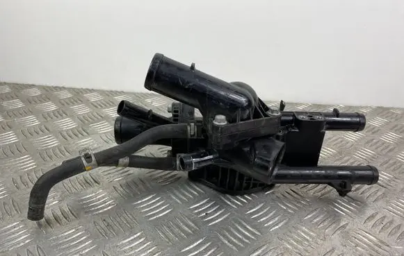 Thermostat/thermostat housing