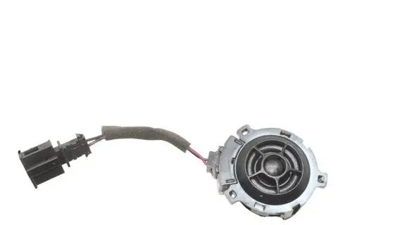Cupra Born Front door speaker 10A035411