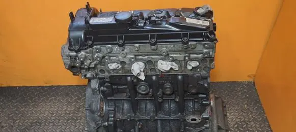 Mercedes-Benz Sprinter W906 Engine 651 17MB12 651955