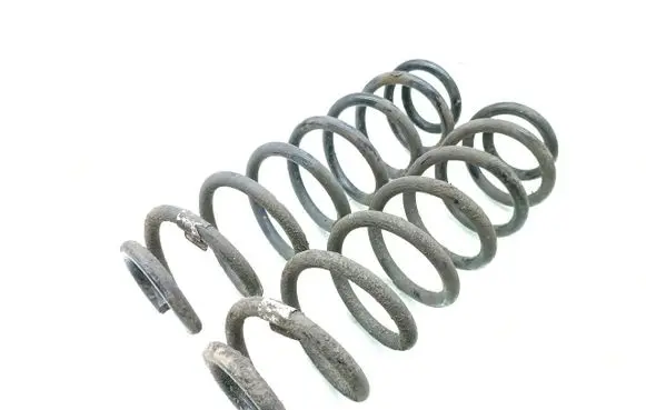 Rear coil spring