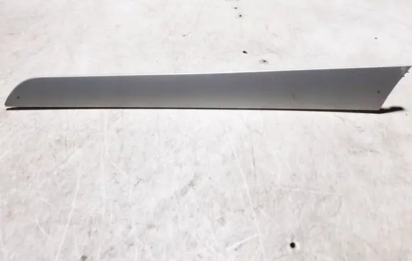 Other front door trim element