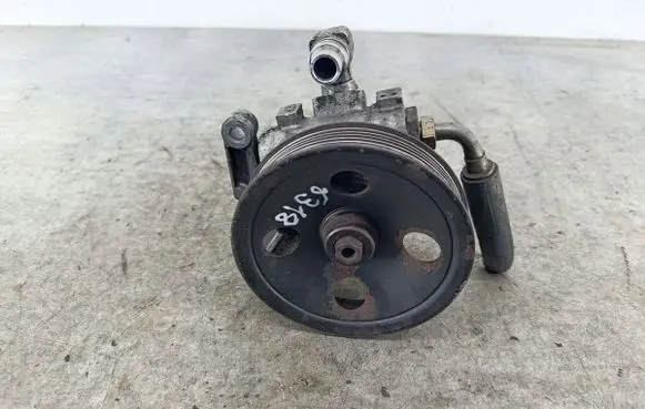 Mercedes-Benz S W220 Power steering pump 