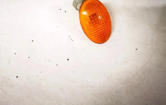 Opel Astra F Front fender indicator light