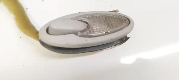 Rear seat light