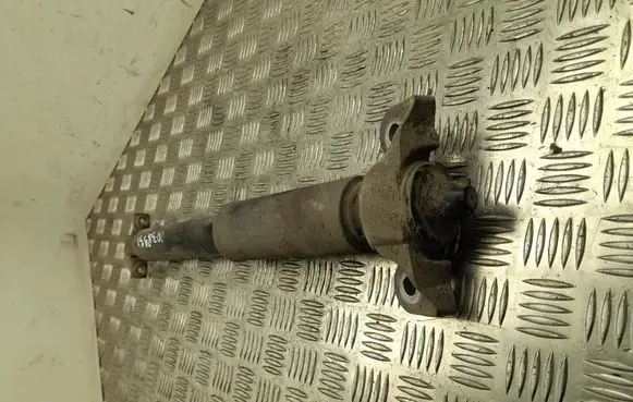 Ford Edge II Rear shock absorber/damper G2GC18W002