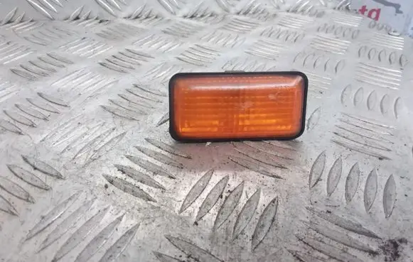 Front fender indicator light