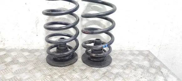Rear coil spring