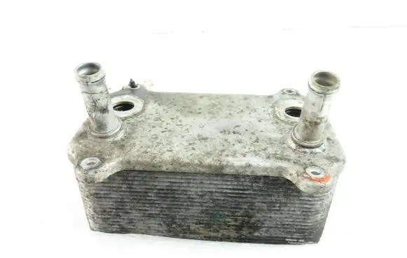 Porsche Cayenne (9PA) Engine oil radiator 8463341