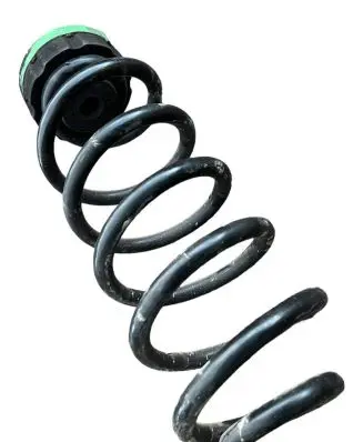 Front coil spring