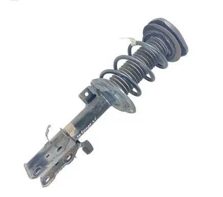 Ford Escape IV Front shock absorber with coil spring LX6118045NAF LX615310NAC