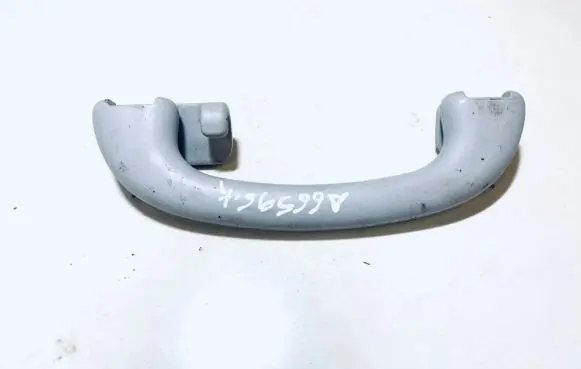 Ford Focus Rear interior roof grab handle