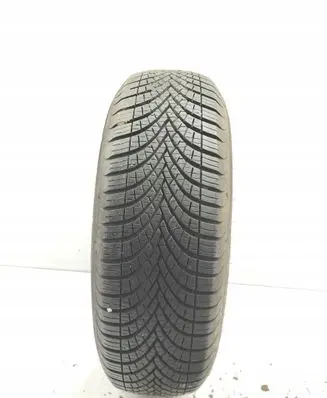 Fiat Punto (188) R14 winter tire 