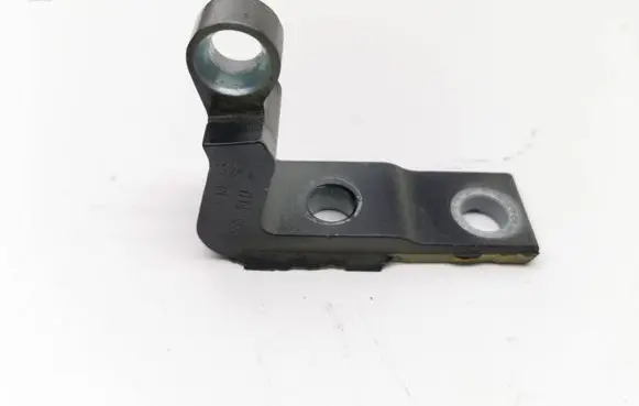 Rear door lower hinge