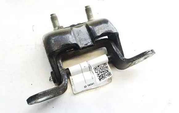 Nissan Qashqai Rear door lower hinge 