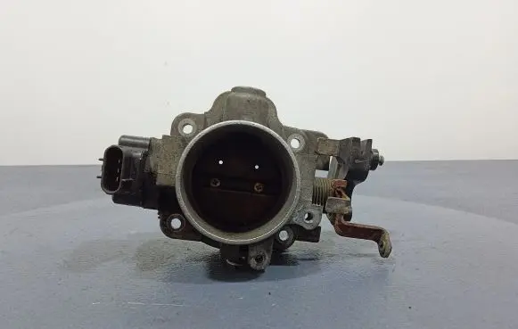 Throttle body valve