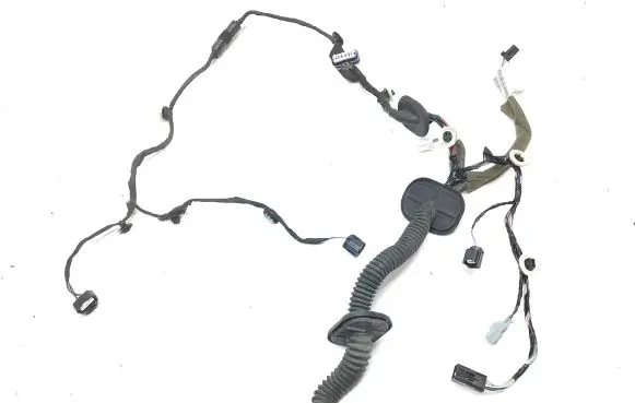 Front door wiring loom