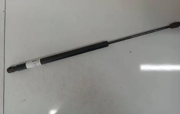 Tailgate/trunk strut/damper