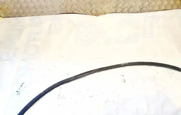 Opel Insignia A Rubber seal front coupe door 