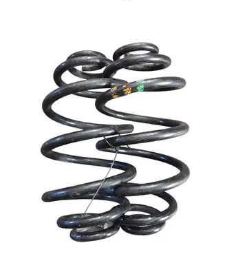 Rear coil spring