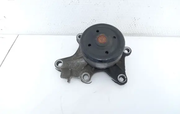 Toyota Yaris Water pump 1610039525