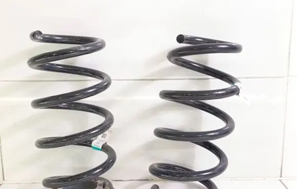 Rear coil spring