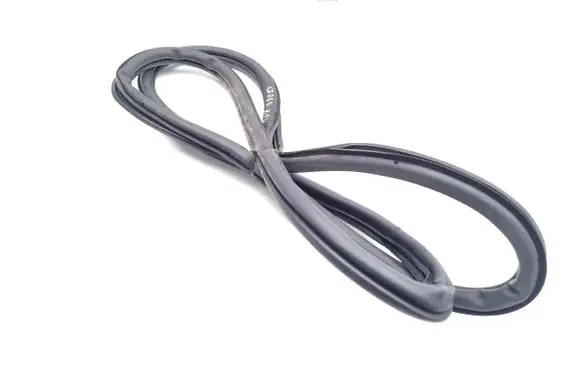 Volkswagen Polo VI Rear door rubber seal (on body) 