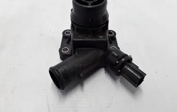 Thermostat/thermostat housing