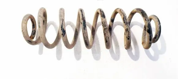 Volkswagen PASSAT B6 Rear coil spring 