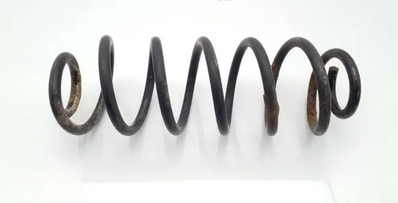 Rear coil spring