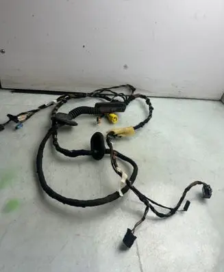 Volkswagen Polo V 6R Front door wiring loom 423423