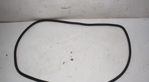 Tesla Model Y Rubber seal front coupe door 