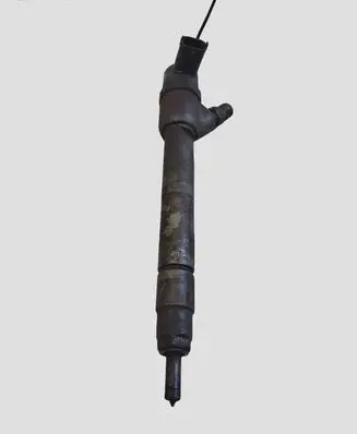 Hyundai Santa Fe Fuel injector 0445110373