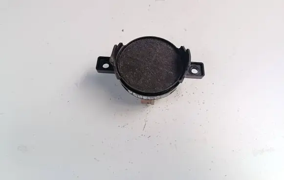Panel speaker