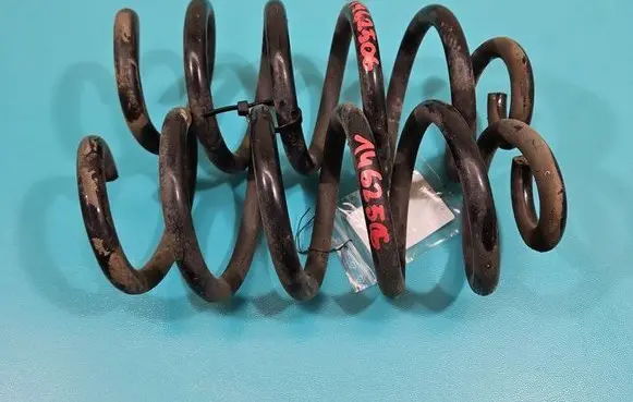 Rear coil spring