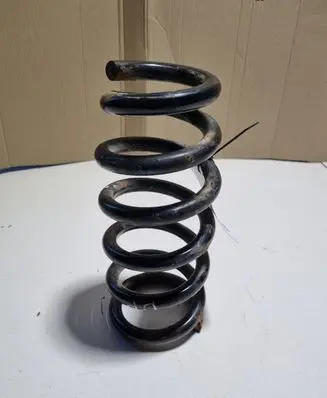 Mitsubishi Pajero Front coil spring 